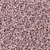 MIYUKI Delica Beads X-SEED-J020-DB0418-3