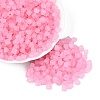 FGB Frosted Transparent Glass Seed Beads SEED-N013-03A-05-1