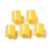 PE Fuse Beads DIY-R013-03-3