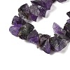 Natural Amethyst Beads Strands G-Q023-G01-01-4