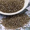 MIYUKI Delica Beads SEED-X0054-DB2396-1