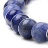 Natural South Africa Sodalite Beads Strands G-S259-35-10mm-4