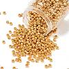 TOHO 6/0 Round Beads SEED-XTR06-0715-1