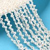 Natural Cultured Freshwater Pearl Beads Strands PA-CBABE82-02B-1