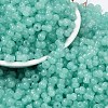 Transparent Colours Glass Seed Beads SEED-R001-01Q-1