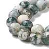 Natural Tree Agate Beads Strands G-S281-15-10mm-4