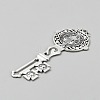 Tibetan Style Zinc Alloy Big Pendants FIND-WH0139-675AS-3