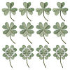 12Pcs 3 Styles Computerized Embroidery Cloth Iron On/Sew on Patches CLOV-WR0001-01-1