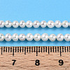 Natural Nucleated Pearl Beads Strands PEAR-N016-03B-5