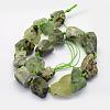 Natural Prehnite Beads Strands G-G697-E04-2