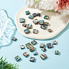 30Pcs 3 Styles Natural Paua Shell Beads BSHE-TA0001-37-5
