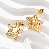 304 Stainless Steel Stud Earrings EJEW-L296-043G-3