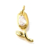 Brass Micro Pave Cubic Zirconia Pendants KK-Z102-01G-01-2