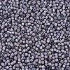 MIYUKI Delica Beads X-SEED-J020-DB1789-3
