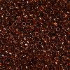 TOHO 6/0 Round Beads X-SEED-TR06-2154-3