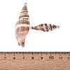 Electroplate Natural Spiral Shell Big Pendants SSHEL-Q100-27KCG-3