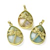 Natural Flower Amazonite Pendants G-G900-01G-29-1