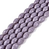 Opaque Solid Color Glass Beads Strands GLAA-N071-01A-C10-1