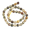 Natural Lodolite Quartz  Beads Strands G-I376-D89-01-2