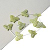 Natural Butter Jade Beads Strands G-B136-A06-1