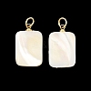 Natural Trochid Shell/Trochus Shell Pendans PALLOY-JF05925-1