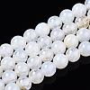 Natural Crackle Agate Beads Strands G-S359-240B-1-1