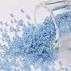 12/0 Grade A Round Glass Seed Beads X-SEED-N001-B-918-1