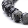 Natural Larvikite/Black Labradorite Beads Strands X-G-S259-06-8mm-3