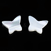 Natural Trochid Shell/Trochus Shell Beads SSHEL-N034-115-2