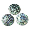 Natural Paua Shell Pendants Geometric Charms SSHEL-N038-01A-1