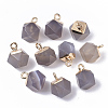 Natural Grey Agate Charms X-G-S359-015D-1