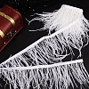 Gorgecraft 2M Fashion Ostrich Feather Cloth Strand Costume Accessories FIND-GF0004-66B-3