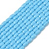 Opaque Glass Beads Strands GLAA-Z018-D20-1