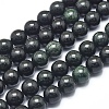 Natura Myanmar Black Jade Beads Strands G-D0001-06-10mm-1