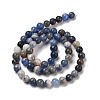 Natural Sodalite Beads Strands GSR6mmC013-1-5