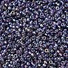 MIYUKI Round Rocailles Beads X-SEED-G007-RR1024-2