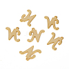 201 Stainless Steel Pendants STAS-L244-04N-G-1