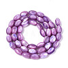Natural Trochus Shell Beads Strands SHEL-K006-19-01D-2