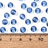FGB Transparent Glass Seed Beads SEED-N013-01B-06-4