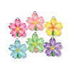 Transparent Resin Pendants RESI-A046-05H-2