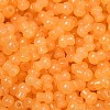 Transparent Colours Glass Seed Beads SEED-R001-01S-2