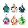 6Pcs 6 Color Dyed Synthetic Turquoise Sea Animal Pendants PALLOY-JF02725-1