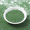 MIYUKI Round Rocailles Beads X-SEED-G007-RR0480-2