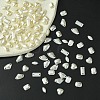 Acrylic Cabochons MRMJ-T063-217-6