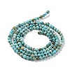 Natural HuBei Turquoise Beads Strands G-M411-A02-02-2