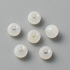 Handmade Lampwork Beads LAMP-TAC0001-05K-1