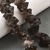 Natural Smoky Quartz Beads Strands G-I283-F13-1