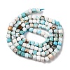 Natural Howlite Beads Strands G-G001-A03-08-3