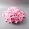 Double-Layer Pleated Polyester Chiffon Lace Trim OCOR-WH0047-19B-2