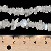 Natural Rainbow Moonstone Chip Beads Strands G-C195-01-5